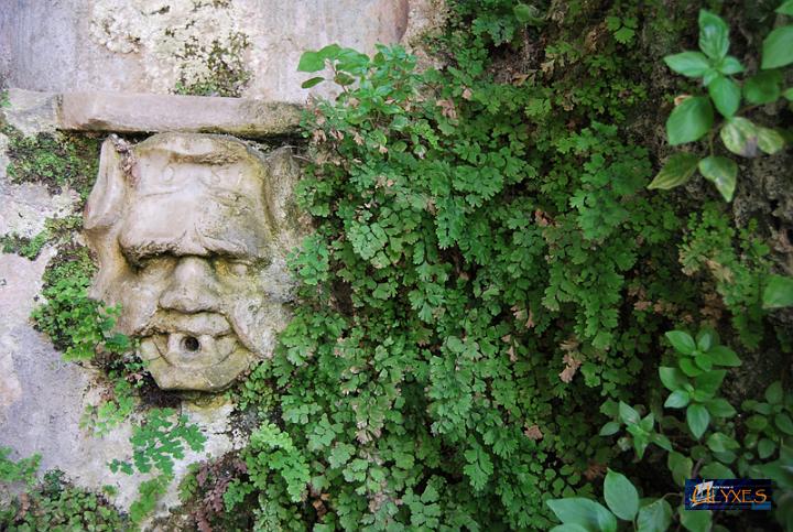 mascherone della fontana.JPG
